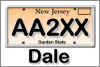 Badge_Plate_NJ.jpg (38524 bytes)