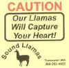Llama_Capture_Heart.jpg (18201 bytes)